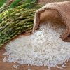 Tổng hợp nghiên cứu thị trường LÚA GẠO và giá lúa gạo 2021 – Dự báo biến động 2022